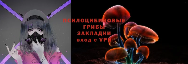 Галлюциногенные грибы MAGIC MUSHROOMS  Кедровый 